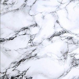 Meet your Posher, Hayden